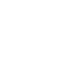 Guivis_reis's emblem