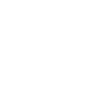 Rep1984nz's emblem