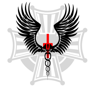 Kenshinav's emblem