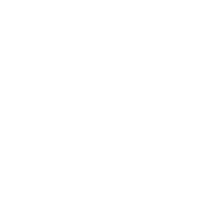 skifer12's emblem