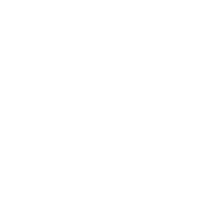 BySi90's emblem