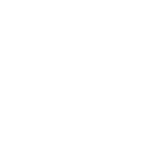 manictroy's emblem