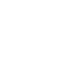 bob_le_louche's emblem