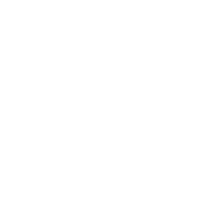 CheckMyIQ's emblem