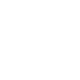 s-I_3cI-ln0I_O9y's emblem