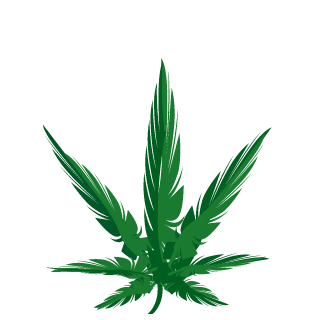 Rollyh1's emblem
