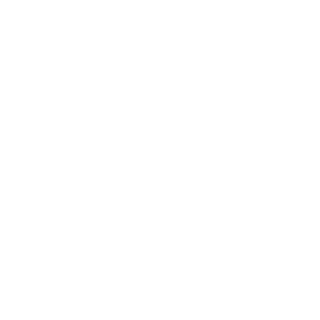 zym-110124's emblem