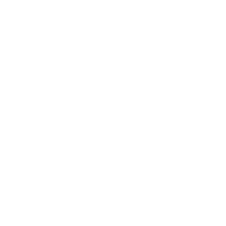Virgin_Hole's emblem