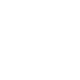 TotaldAK1nG's emblem