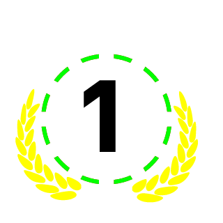 STS 53gun's emblem