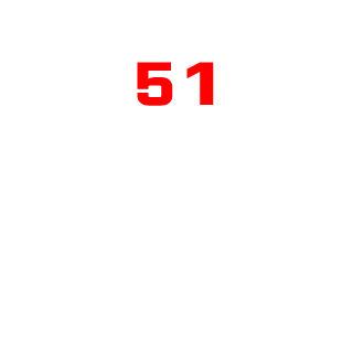 TECAK_51's emblem