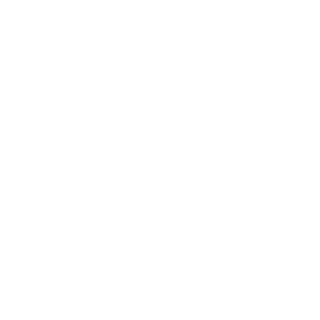 11sashka's emblem