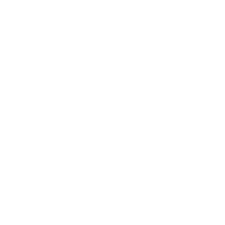 Abrek_95_reg's emblem