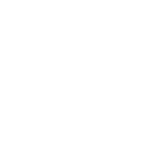 RAMMSTEINE96's emblem