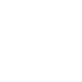 1aLittleFaster1's emblem