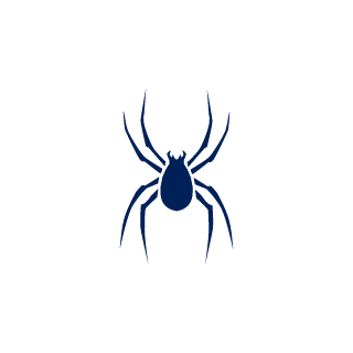 Sommers07's emblem
