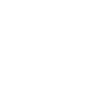 maxeen2's emblem