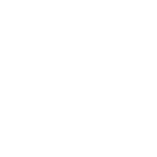 Inepsy91's emblem