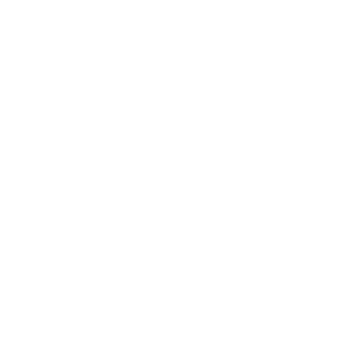 2ff93843b0c03f9d's emblem