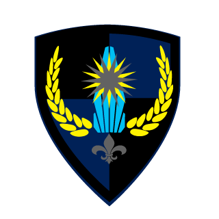 Lightning117's emblem