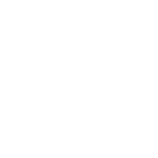 Senor_Topo1's emblem