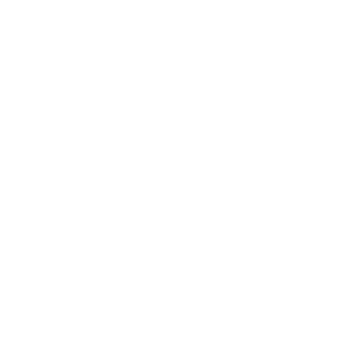 RampantLion10's emblem