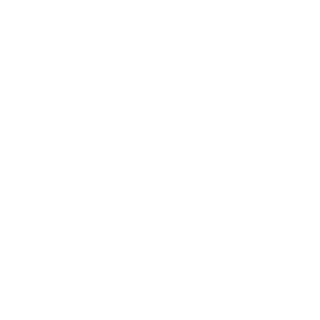 Firebolt141's emblem
