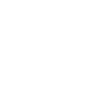 NP_Rabbit's emblem