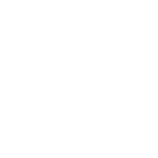 22Basti01's emblem