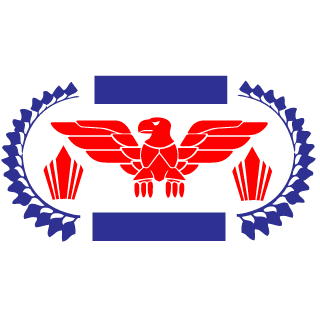 C0PYTHAT's emblem