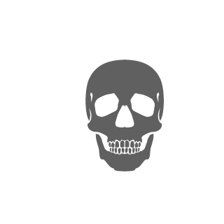D4t4L055R4idZ3r0's emblem