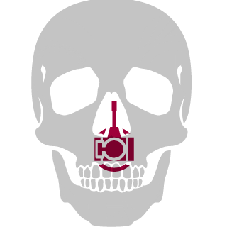 mephisto249's emblem