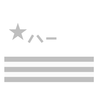 ZDZS's emblem