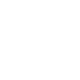 skipper737's emblem
