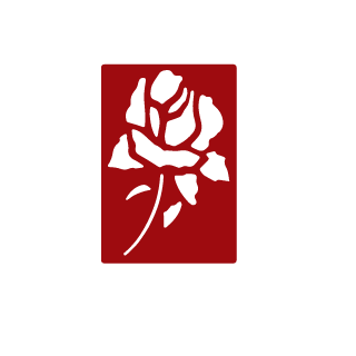 NebelMoon's emblem