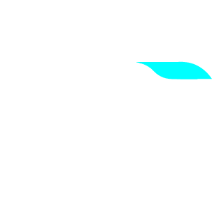 Lpy4ss's emblem