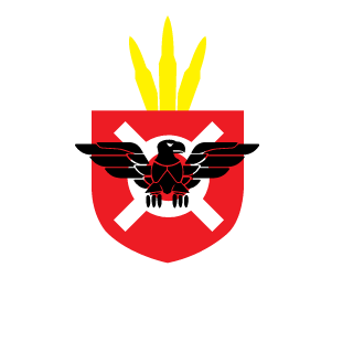 igrlokao's emblem