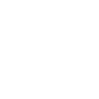 pumAA54's emblem