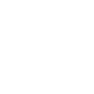 Briantony's emblem