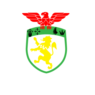 wilson199898's emblem