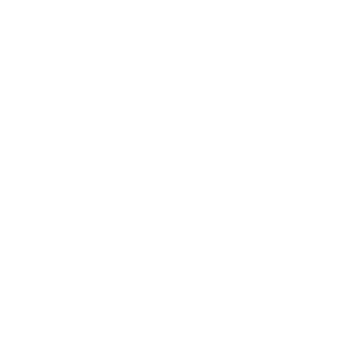 beaveer22's emblem