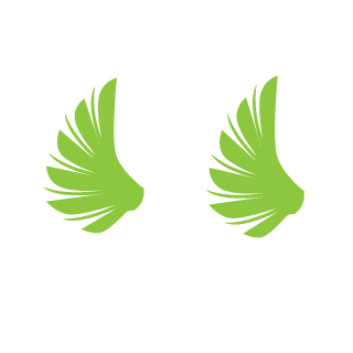 Raafael_ZA's emblem