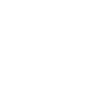 BoinkStoinkMcGee's emblem