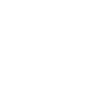 NestexBETA's emblem