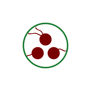 Gooselord_Prime's emblem