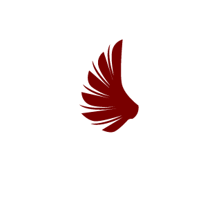 8th1der's emblem