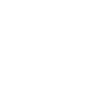 DiegoDN1005's emblem