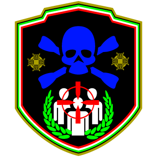 SturmtruppenITA's emblem