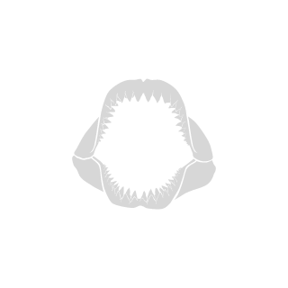 nagibator2011's emblem