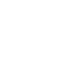 n90BLaZe's emblem